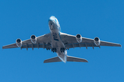 All Nippon Airways - ANA Airbus A380-841 (F-WWSH) at  Hamburg, Germany