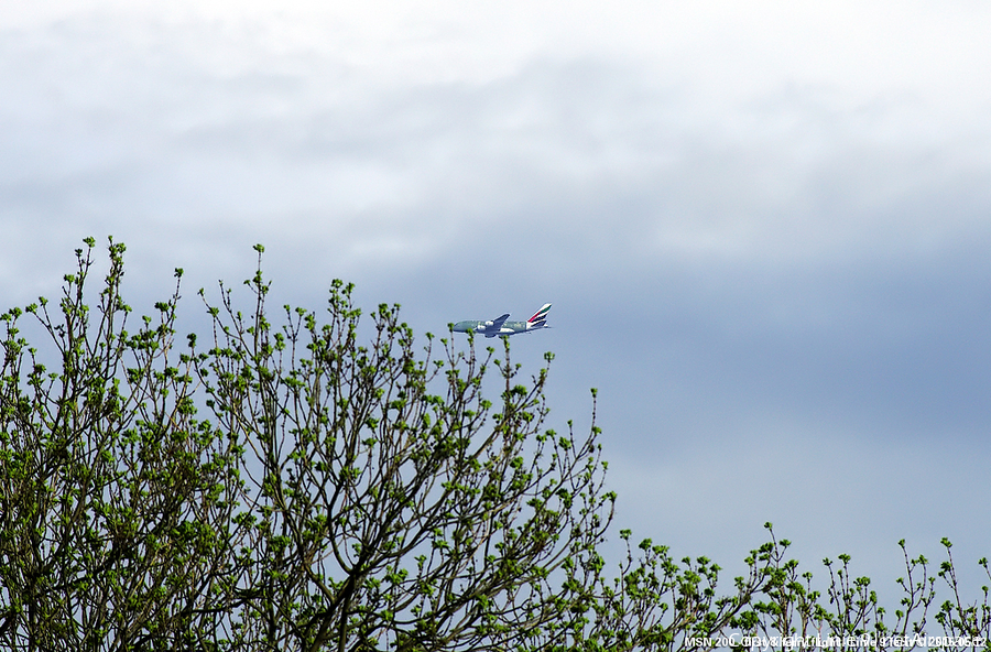 Emirates Airbus A380-861 (F-WWSV) | Photo 76271