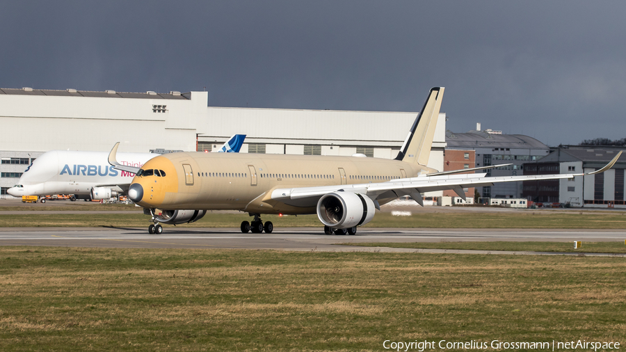 Airbus Industrie Airbus A350-941 (F-WZFG) | Photo 382832
