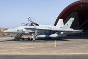 Spanish Air Force (Ejército del Aire) McDonnell Douglas F/A-18A Hornet (C.15-79) at  Gran Canaria, Spain