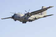 French Air Force (Armée de l’Air) Transall C-160G Gabriel (F221) at  Gran Canaria, Spain