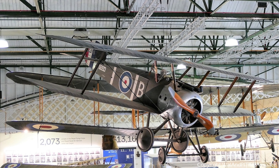 Royal Air Force Sopwith F.1 Camel (F6314) | Photo 441966