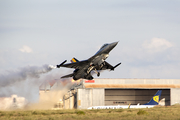 Belgian Air Force General Dynamics F-16AM Fighting Falcon (FA-123) at  Luqa - Malta International, Malta