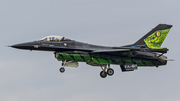 Belgian Air Force General Dynamics F-16AM Fighting Falcon (FA-87) at  Radom, Poland