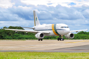 Brazilian Air Force (Forca Aerea Brasileira) Airbus A319-133X CJ (VC-1A) (FAB2101) at  Sorocaba - Bertram Luiz Leupolz, Brazil