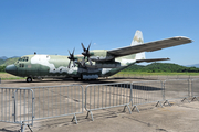 Brazilian Air Force (Forca Aerea Brasileira) Lockheed C-130H Hercules (FAB2453) at  Rio de Janeiro - Museu Aeroespacial Campo des Afonsos, Brazil