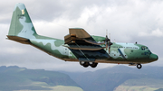 Brazilian Air Force (Forca Aerea Brasileira) Lockheed C-130M Hercules (FAB2465) at  Gran Canaria, Spain