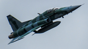 Brazilian Air Force (Forca Aerea Brasileira) Northrop F-5EM Tiger II (FAB4830) at  Campo de Marte, Brazil