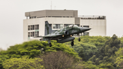 Brazilian Air Force (Forca Aerea Brasileira) Northrop F-5EM Tiger II (FAB4830) at  Campo de Marte, Brazil