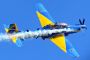 Brazilian Air Force (Forca Aerea Brasileira) Embraer EMB-314 Super Tucano A-29B (FAB5965) at  Sorocaba - Bertram Luiz Leupolz, Brazil