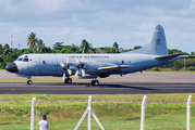 Brazilian Air Force (Forca Aerea Brasileira) Lockheed P-3AM Orion (FAB7204) at  Salvador - International (Deputado Luís Eduardo Magalhães), Brazil