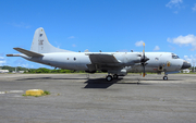 Brazilian Air Force (Forca Aerea Brasileira) Lockheed P-3AM Orion (FAB7206) at  Salvador - International (Deputado Luís Eduardo Magalhães), Brazil