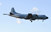 Brazilian Air Force (Forca Aerea Brasileira) Lockheed P-3AM Orion (FAB7208) at  Salvador - International (Deputado Luís Eduardo Magalhães), Brazil