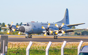 Brazilian Air Force (Forca Aerea Brasileira) Lockheed P-3AM Orion (FAB7208) at  Salvador - International (Deputado Luís Eduardo Magalhães), Brazil