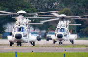 Brazilian Air Force (Forca Aerea Brasileira) Eurocopter VH-36 Caracal (FAB8506) at  Campo de Marte, Brazil