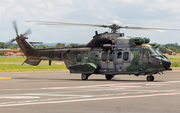 Brazilian Air Force (Forca Aerea Brasileira) Eurocopter H-36 Caracal (FAB8519) at  Teresina - Senador Petrônio Portella, Brazil