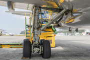 Colombian Air Force (Fuerza Aerea Colombiana) Boeing 767-2J6(ER)MMTT (FAC1202) at  Guatemala City - La Aurora, Guatemala