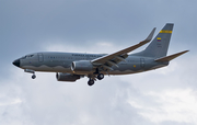 Colombian Air Force (Fuerza Aerea Colombiana) Boeing 737-732 (FAC1219) at  Berlin Brandenburg, Germany