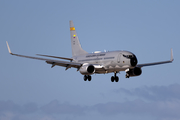 Colombian Air Force (Fuerza Aerea Colombiana) Boeing 737-732 (FAC1219) at  Tenerife Sur - Reina Sofia, Spain