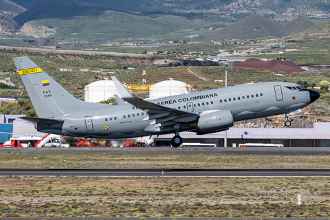 Colombian Air Force (Fuerza Aerea Colombiana) Boeing 737-732 (FAC1219) at  Tenerife Sur - Reina Sofia, Spain