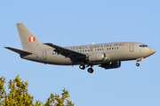 Peruvian Air Force (Fuerza Aerea del Peru) Boeing 737-528 (FAP356) at  New York - John F. Kennedy International, United States