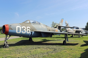 Belgian Air Force Republic F-84F Thunderstreak (FU-36) at  Krakow Rakowice-Czyzyny (closed) Polish Aviation Museum (open), Poland