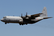 Royal Netherlands Air Force Lockheed C-130H Hercules (G-273) at  Luqa - Malta International, Malta