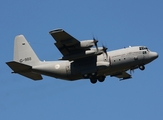 Royal Netherlands Air Force Lockheed C-130H Hercules (G-988) at  Pisa - Galileo Galilei, Italy
