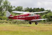 (Private) De Havilland DH.87B Hornet Moth (G-AELO) at  Popham, United Kingdom