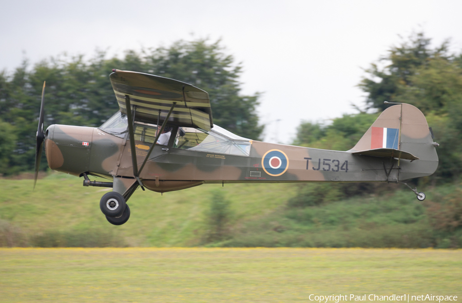 (Private) Taylorcraft Auster AOP Mk.V (G-AKSY) | Photo 471506