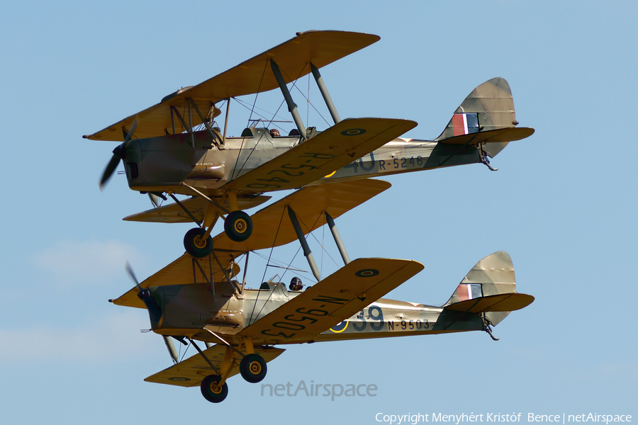 (Private) De Havilland DH.82A Tiger Moth (G-AMIV) | Photo 404344