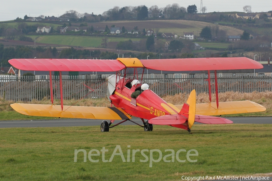 (Private) De Havilland DH.82A Tiger Moth (G-ANDP) | Photo 3910