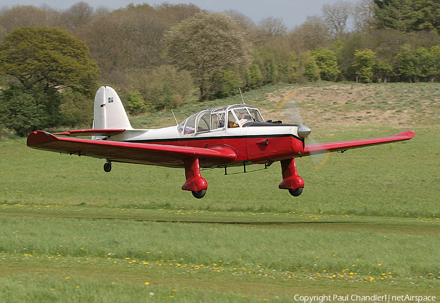 (Private) Percival P.40 Prentice T.1 (G-APPL) | Photo 99004