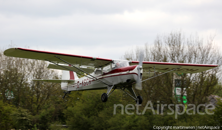 (Private) Beagle A.61 Terrier (G-ASCH) | Photo 317930