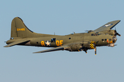 (Private) Boeing B-17G Flying Fortress (G-BEDF) at  Beverlo AFB, Belgium