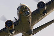 (Private) Boeing B-17G Flying Fortress (G-BEDF) at  Shoreham, United Kingdom