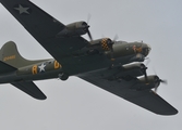 (Private) Boeing B-17G Flying Fortress (G-BEDF) at  Portrush, United Kingdom