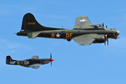 (Private) Boeing B-17G Flying Fortress (G-BEDF) at  Duxford, United Kingdom