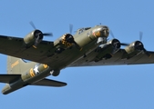 (Private) Boeing B-17G Flying Fortress (G-BEDF) at  Lisnabreeny, United Kingdom