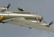 (Private) Boeing B-17G Flying Fortress (G-BEDF) at  Lisnabreeny, United Kingdom