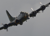 (Private) Boeing B-17G Flying Fortress (G-BEDF) at  Lisnabreeny, United Kingdom