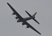 (Private) Boeing B-17G Flying Fortress (G-BEDF) at  Portrush, United Kingdom