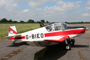 (Private) Jodel D.112 (G-BIEO) at  Dunkeswell, United Kingdom