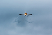 DHL Air Boeing 757-236 (G-BIKJ) at  Porto, Portugal