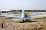 (Private) de Havilland Canada DHC-1 Chipmunk 22 (G-BPAL) at  Portimão, Portugal