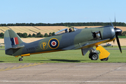 (Private) Hawker Sea Fury FB.11 (G-CBEL) at  Duxford, United Kingdom