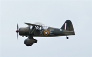 (Private) Westland Lysander Mk. III (G-CCOM) at  Duxford, United Kingdom