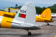 (Private) OGMA DHC-1 Chipmunk Mk20 (G-CHPI) at  Braga, Portugal