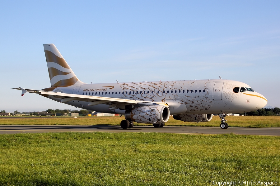 British Airways Airbus A319-131 (G-DBCB) | Photo 12848