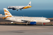 British Airways Airbus A319-131 (G-DBCB) at  Tenerife Sur - Reina Sofia, Spain